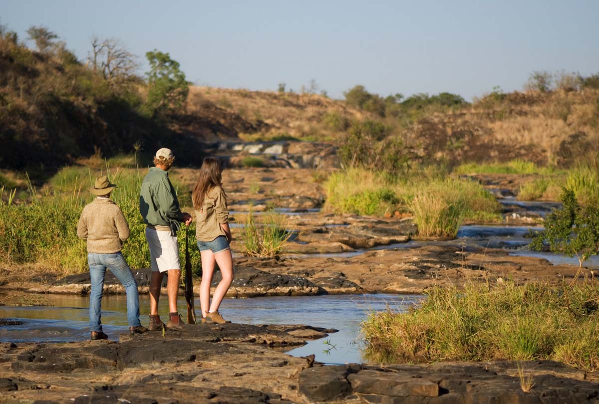Explore the Sabi Sand on a Luxury Safari South Africa